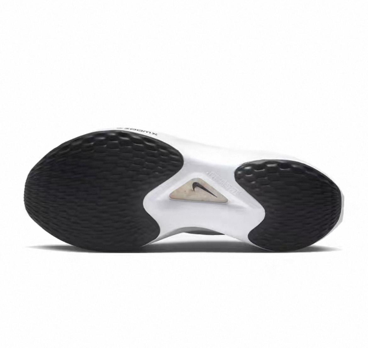 a1